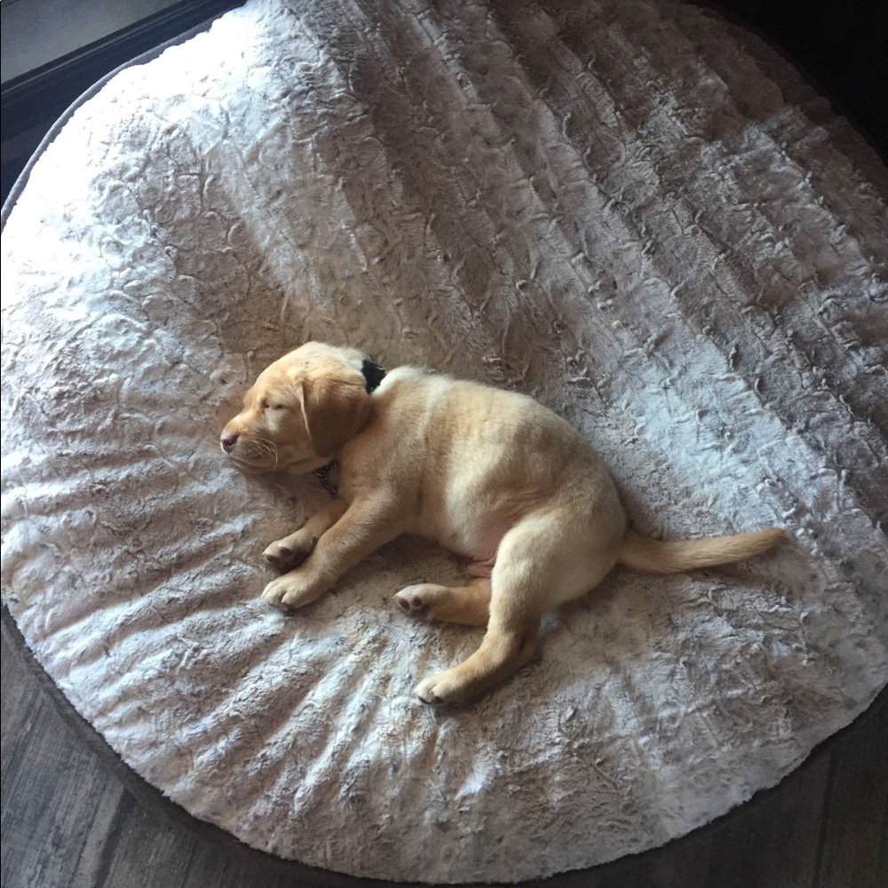 Meet your Posher, Brandon